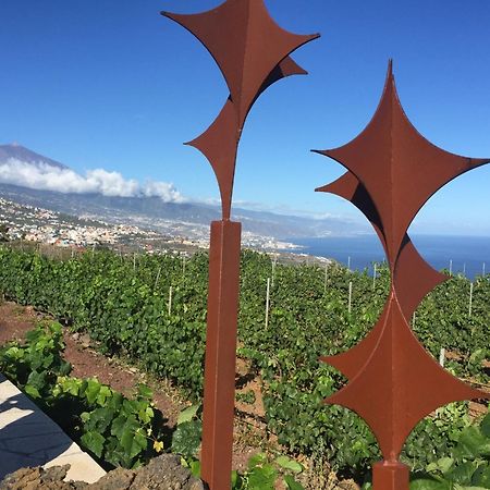 Finca Angelus Apartment Syrah With Amazing Views La Matanza De Acentejo Buitenkant foto