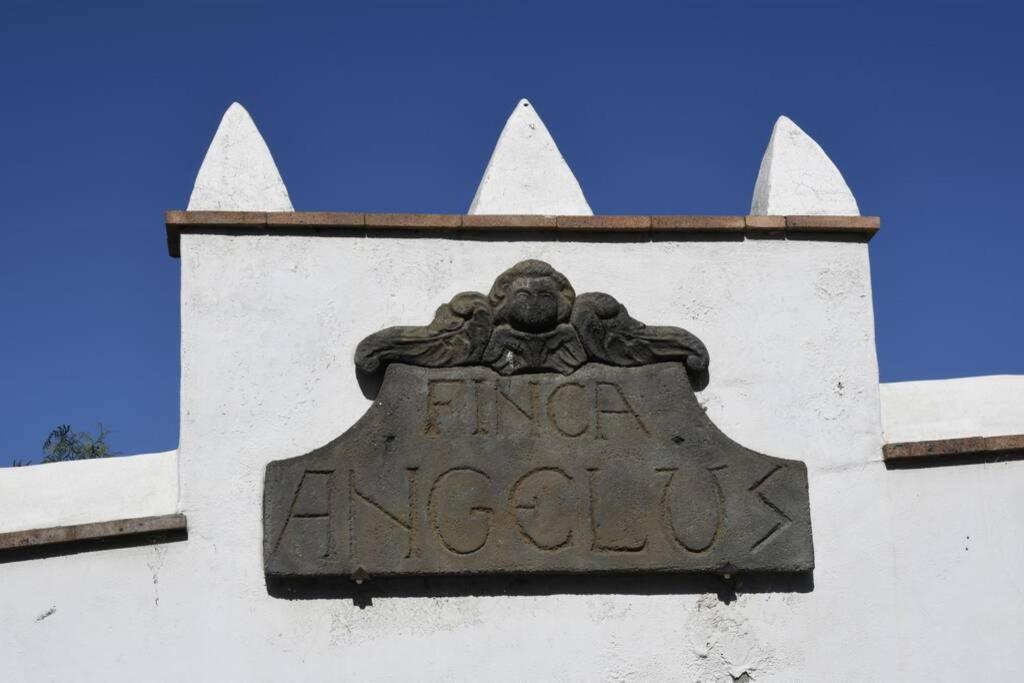 Finca Angelus Apartment Syrah With Amazing Views La Matanza De Acentejo Buitenkant foto