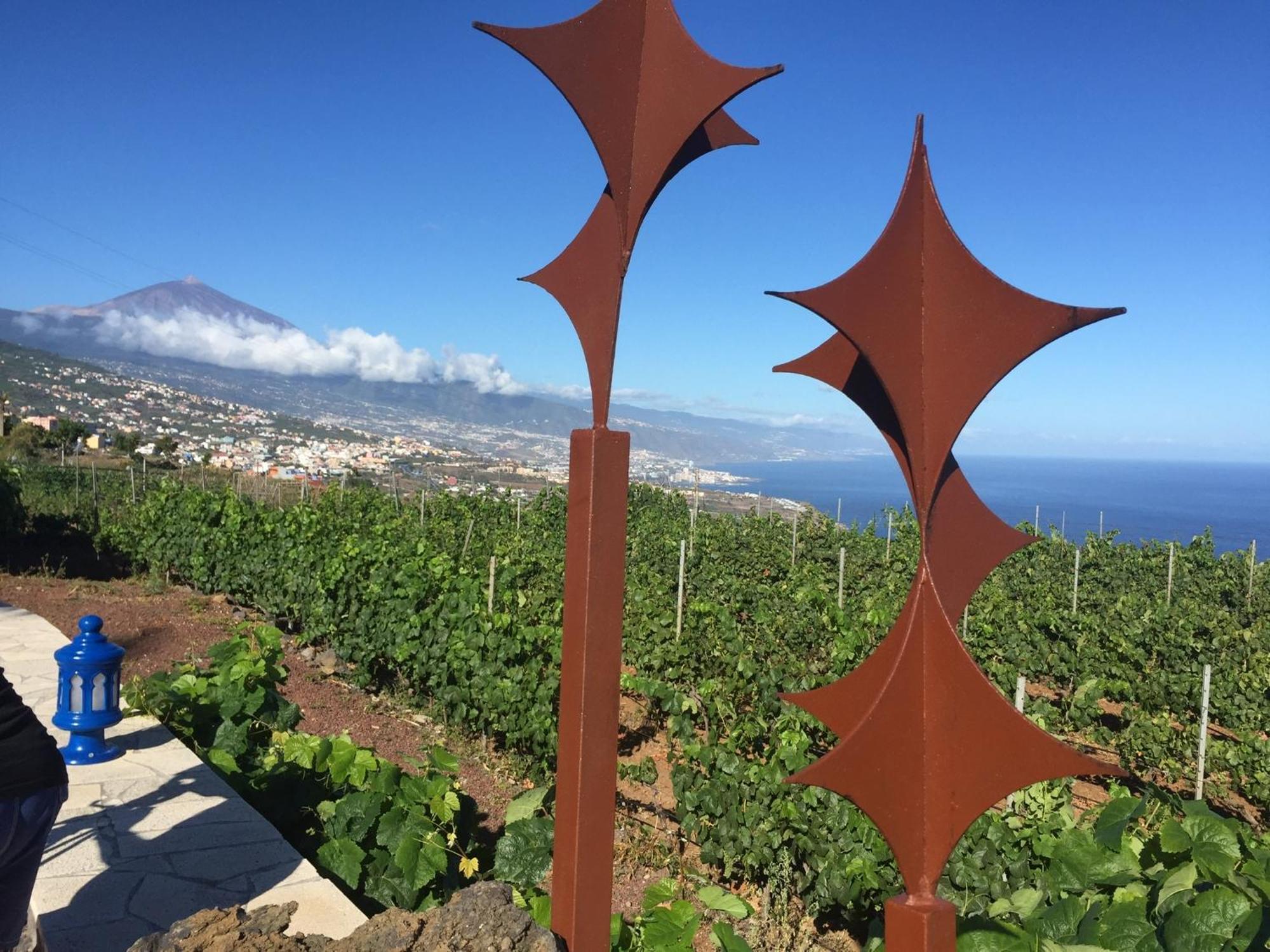 Finca Angelus Apartment Syrah With Amazing Views La Matanza De Acentejo Buitenkant foto